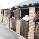 About Manor Farm Stud Braunston Rutland East Midlands